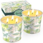 WarmEmbrace Citronella Candles Outdoor & Indoor, 40oz Large Citronella Candle 200H Burning Long Lasting, Soy Scented, 3-Wick Natural Soy Wax for Patio, Garden, Backyard, Camping, Cookout
