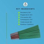Citronella Incense Sticks 60 Pieces per Box - Outdoor Citronella Incense Sticks for Camping, Patio, Hiking,etc