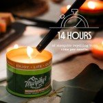 Murphy's Naturals Mini Mosquito Bug Repellent Candles for Outdoor Patio, Citronella & Essential Oils, 14-Hour Burn Time Each, 3.5 oz, 3-Pack