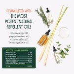 Murphy's Naturals Mini Mosquito Bug Repellent Candles for Outdoor Patio, Citronella & Essential Oils, 14-Hour Burn Time Each, 3.5 oz, 3-Pack