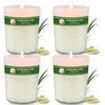 Citronella Candles Outdoor, 4 Pack 29.6oz Natural Soy Wax Citronella Candle up to 200 Hours Burning, Fresh Citronella Oil Candles Sets Summer Gifts for Garden, Patio, Yard, Balcony BBQ, Camping