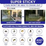 50 Window Fly Traps Sticky Non-Toxic Clear Fly Paper Indoor for Home. No Mess Flies Window Sticky Traps Bug Flies Strips Indoors. Fruit and Housefly Trap Indoor Flypaper Tape Gnat Catcher Killer