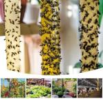 Glovv 24 Pack Sticky Fly Trap Indoor, Flies Strips Indoor Outdoor Hanging Paper Rolls for Home, Bug & Fruit Gnat Ribbons Tape Killer Catcher for Kitchen, Flying Insect Trap for Winged Insect, Mosquito