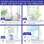 50 Window Fly Traps Sticky Non-Toxic Clear Fly Paper Indoor for Home. No Mess Flies Window Sticky Traps Bug Flies Strips Indoors. Fruit and Housefly Trap Indoor Flypaper Tape Gnat Catcher Killer
