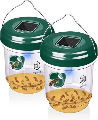 Wasp & Hornet Lure-and-Trap Stations