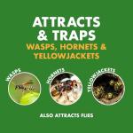 Spectracide Wasp & Hornet Trap Refill, Lure Refill for Spectracide Wasp & Hornet Trap, 1 Count