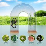 BuggyBands 2 Pack Mosquito Repellent Bracelets - DEET-Free Bug Repellent Bracelets for Kids & Adults, Individually Wrapped Adjustable Insect Repellent Wristbands, Protection for Outdoor Activities