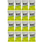RESCUE! Non-Toxic Wasp, Hornet, Yellowjacket Trap (WHY Trap) Attractant Refill - 2 Week Refill - 16 Pack