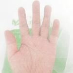 8Ft x 10Ft Mosquito Bug Insect Bird Fine Mesh Net Barrier Hunting Blind Garden Screen Netting for Protect Your Plant Fruits Flower