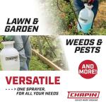 Chapin 20002 Made in USA 2 -Gallon Lawn and Garden Pump Pressured Sprayer, for Spraying Plants, Garden Watering, Lawns, Weeds and Pests, Translucent White