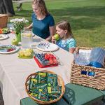 Natrapel Picaridin Insect Repellent Wipes – 12 Hour Bug Repellent Travel Wipes Repel Mosquitoes, Ticks & More