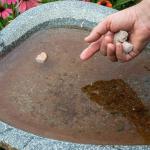 Summit Chemical Co. Insect Mosquito Dunk 6PK