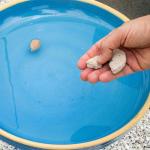 Summit 6 Count Slow Release Mosquito Dunks®, Case Pack of 12