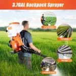 3WF-3 Backpack Fogger 2.13kw Gas Powered Backpack Fogger Leaf Blower Sprayer Machine - 3.7Gal Spraye for Vegetable Sheds and Orchards Urban Greening