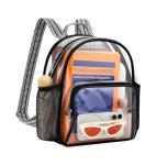 Lyingflat 12×12×6 Clear Stadium Backpack