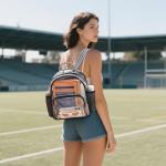 Lyingflat 12×12×6 Clear Stadium Backpack