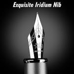 JINHAO Fountain Pen Fine Nib, Includes Ink Cartridges & Converter, Perfect Weight, Optimal Flow, No Skips