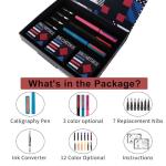 DTianSir 7‑Nib Fountain Pen Set