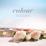 GC QUILL 7‑Nib Calligraphy Set