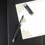 GC QUILL Fine Medium Fountain Pen Set