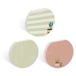 Plant Theme 3‑Pack Succulent Sticky Notes