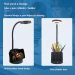 HomeFocus LED Desk Lamp USB Pen Holder RGB