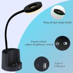 HomeFocus LED Desk Lamp USB Pen Holder RGB