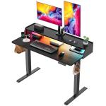 ErGear 48×24″ Electric Height‑Adjustable RGB Gaming Desk