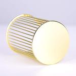 Gold Metal Pen & Makeup Brush Holder