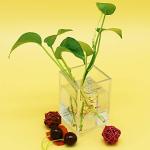 2‑Pack Clear Acrylic Pen & Brush Holders