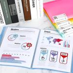 Smarpau Display Binder with Sleeves