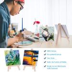 Cridoz 47‑Piece Mini Canvas Painting Kit