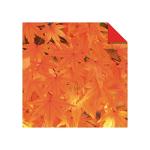 Tuttle 200pc Origami Paper 6″ Nature