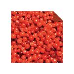 Tuttle 200pc Origami Paper 6″ Nature