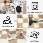 Beige and Cream Furry Area Rug, 2x3 Feet