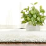 Softlife Fluffy Oval Area Rug for Kids