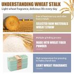 3-Pack Stackable Bento Box Meal Prep Containers