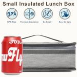 FlowFly Mini Cooler Lunch Bag for Work & School