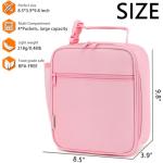 Insulated Lunch Box for Kids and Adults