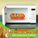 4-Pack Bento Lunch Box Set with Compartments