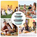 Collapsible Silicone Bowl Set for Camping & Kitchen