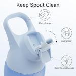 Stainless Steel Insulated Water Bottle with Straw