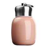 Mini Insulated Water Bottle - Portable and Leakproof