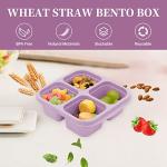 5 Pack Compartment Bento Lunch Box Set