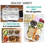 Bento Box Lunch Set - 3 Compartment Containers