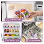 5 Pack Compartment Bento Lunch Box Set