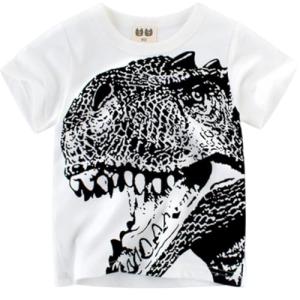 Dinosaur Graphic Tee for Toddler Boys