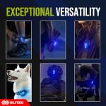 4 Pack Clip-On LED Safety Lights for Night Use