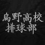 Anime Costume Hoodie Jacket for Volleyball Fans