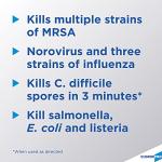 Clorox Fresh Scent Disinfecting Wipes, 700 Count